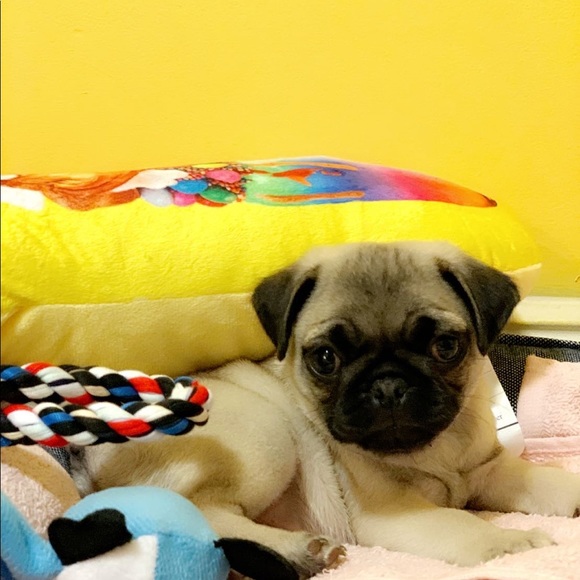 Meet your Posher, Simran - Picture 1 of 1